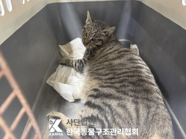 종료(자연사) 한국…